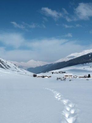 Winterwandern Davos